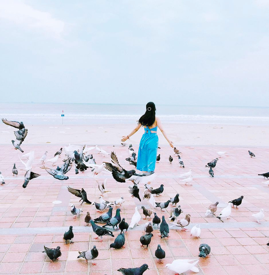 Bắt sóng 10 thế tạo dáng thần thánh với 1000 chú chim ở Đà Nẵng ...