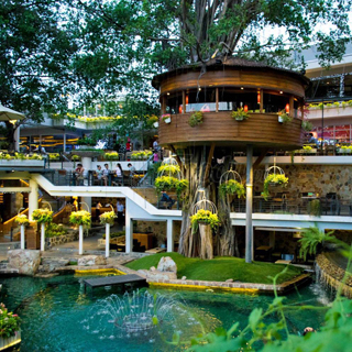 Top 10 địa chỉ quán cafe sân vườn đẹp Sài Gòn độc đáo nhất