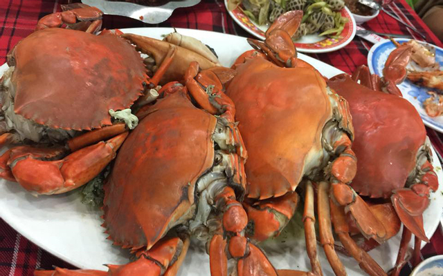 Khám phá buffet hải sản biển đông tphcm với đa dạng món ăn và chất lượng