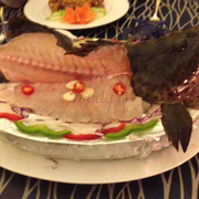 Cá mú sống ăn gỏi (sashimi)