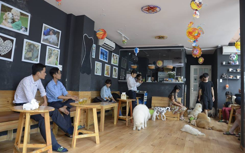 Những quán CAFE THÚ CƯNG cực "cute" ở Sài Gòn