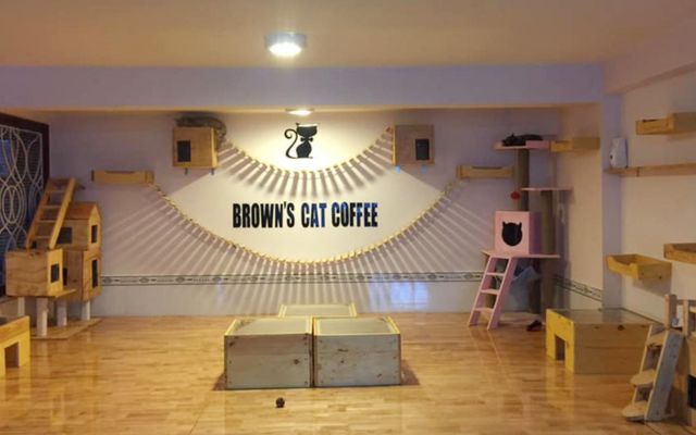 Brown’s Cat Coffee - Cafe Mèo Nâu