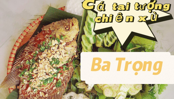 Cá Tai Tượng Chiên Xù Ba Trọng - Cá Tai Tượng Chiên Xù - Nguyễn Trãi