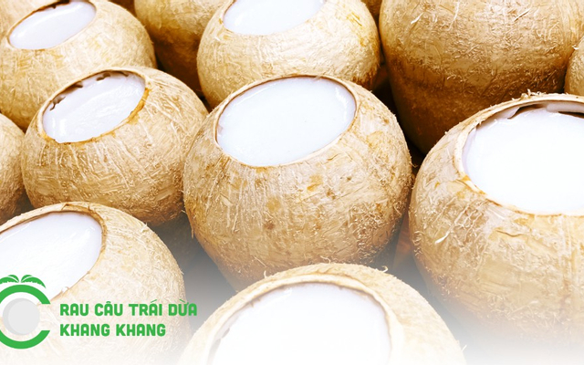 Rau Câu Trái Dừa Khang Khang - Ăn Vặt, Tráng Miệng - Trần Thị Trọng