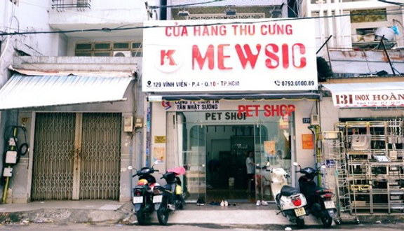 Mewsic Pet Shop - Cửa Hàng Thú Cưng - Vĩnh Viễn