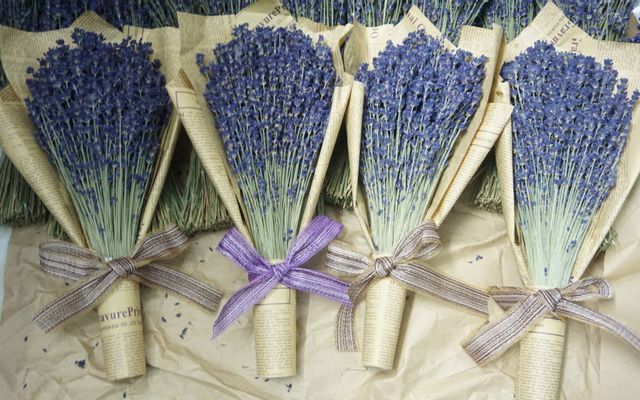 Dạo Mát - Hoa Khô Lavender - Shop Online