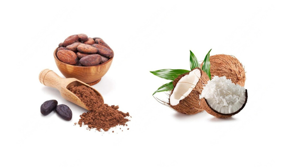 Cacao Dừa - Chú Bo