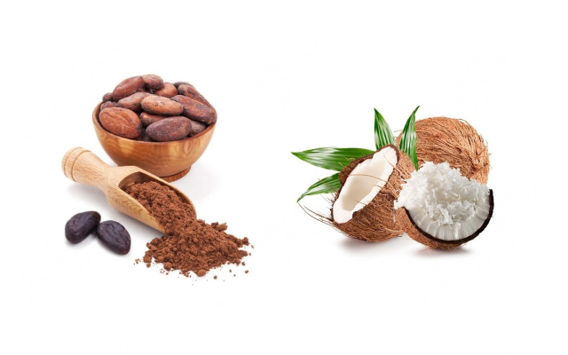 Cacao Dừa - Chú Bo