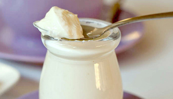 Ngọc Anh - Sữa Chua Handmade