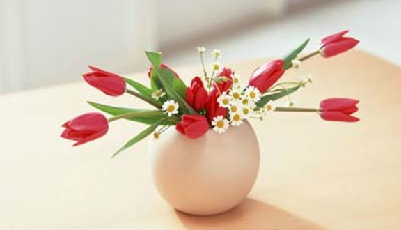 Flower Box - Pasteur