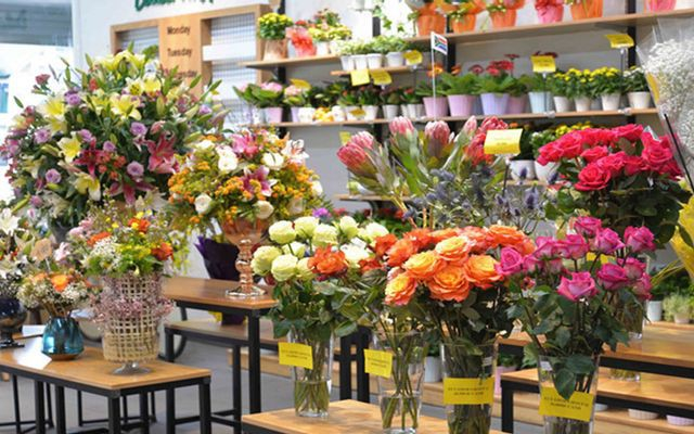 Dalat Hasfarm Quốc Hương - Shop Hoa Tươi