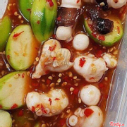 Bạch Tuộc Sốt Th&#225;i