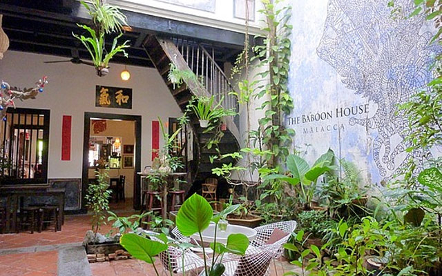 The Baboon House Cafe