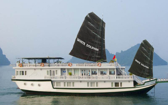 Luxury White Dolphin Cruise - Hòn Gai