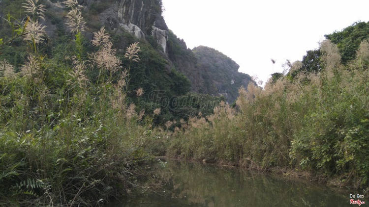 Khu Bảo Tồn Thiên Nhiên Vân Long ở Ninh Bình