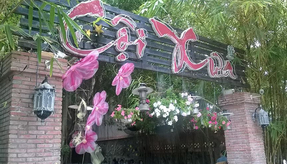 Cội Xưa Cafe - Phạm Thái Bường