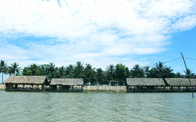 Bãi Dừa