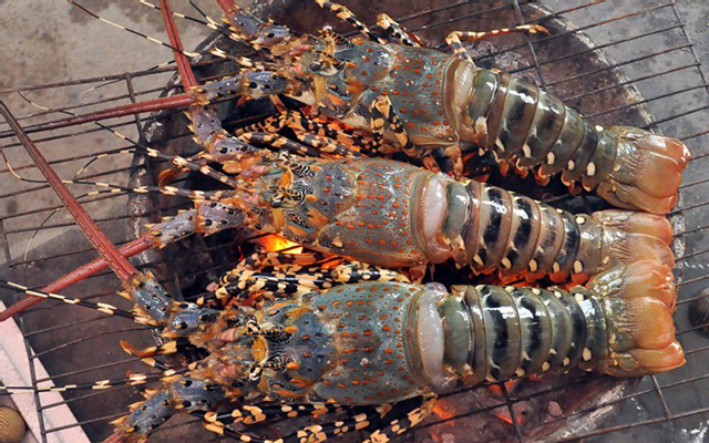 Bờ Kè Lobster - Nguyễn Đình Chiểu