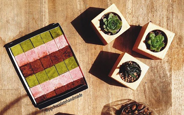 Nama Chocolate Handmade Of PG - Shop Online - Lê Văn Sỹ