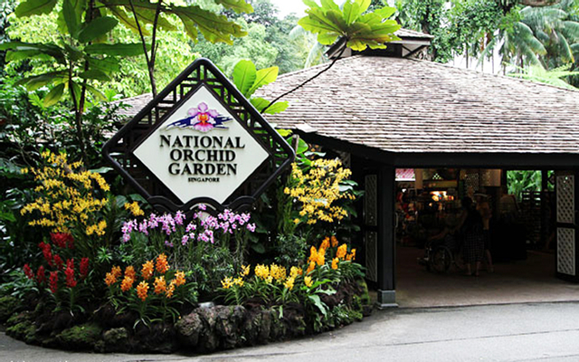 National Orchird Garden