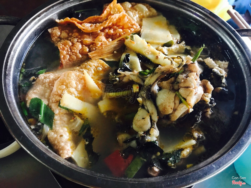 Hà Dũng - Lẩu Ếch Ở Quận Long Biên, Hà Nội | Foody.Vn