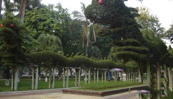 Vườn Hoa Nguyễn Du - Trần Phú