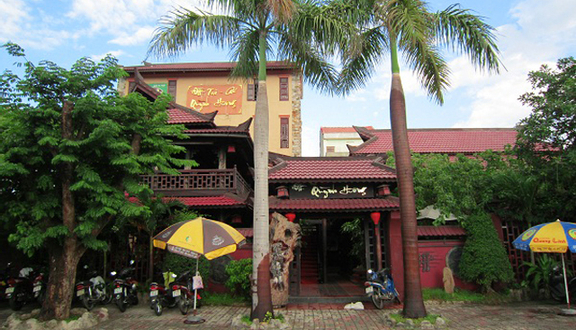 Quỳnh Hương - Trà & Cafe