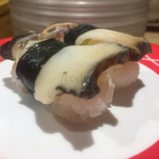 sushi Ốc
