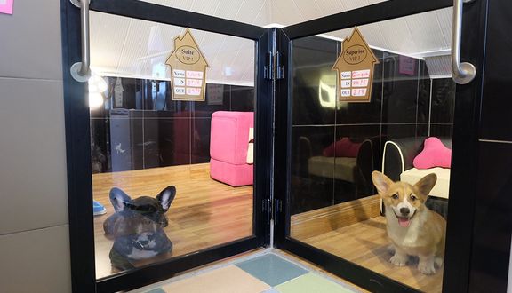 Bed and Pet-first - Dog Hotel