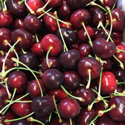 Cherry from Chile 600k/kg