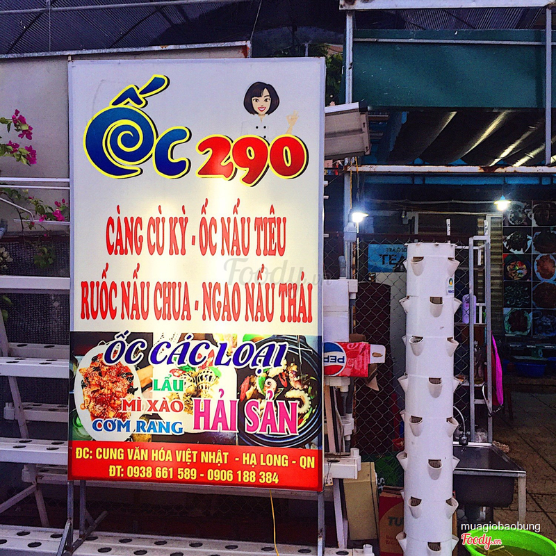 Ốc Đặc Biệt 290 ở Tp. Hạ Long, Quảng Ninh | Foody.vn
