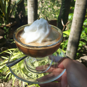 cafe cốt dừa