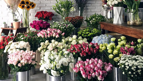  Hoala Floral Boutique - Hàn Thuyên