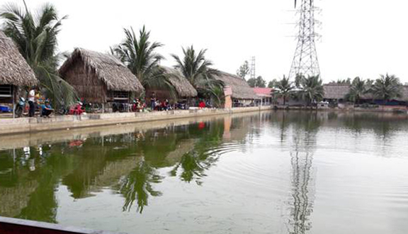 Ao Cá Vườn Dừa