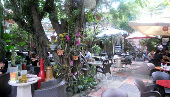 Hoàng Hạc Cafe - Cafe Sân Vườn