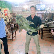 Cá chiên khủng 20kg tại Ngư Quán