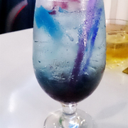 soda Blueberry- thạch cá heo
