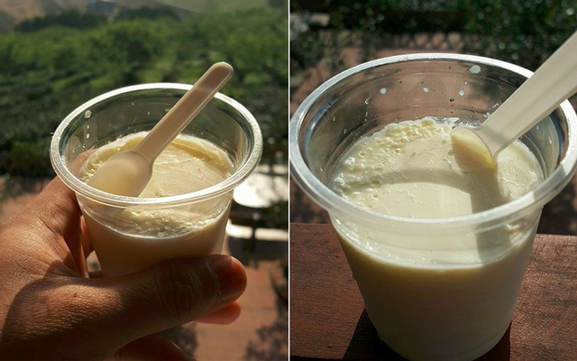 Chè & Sữa Chua - Đặc Sản Mộc Châu