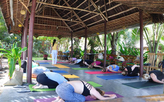 An Niệm Yoga
