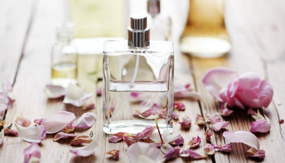 6Scent Perfume - Nước Hoa Chính Hãng