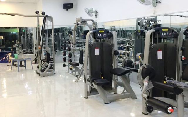 Homie - Gym & Fitness