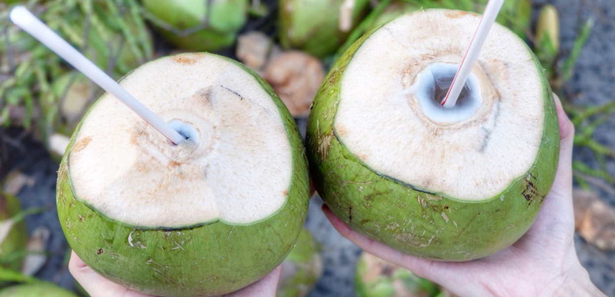Dừa Xiêm & Rau Câu Trái Dừa | Đặt Món & Giao ship tận nơi | Now.vn