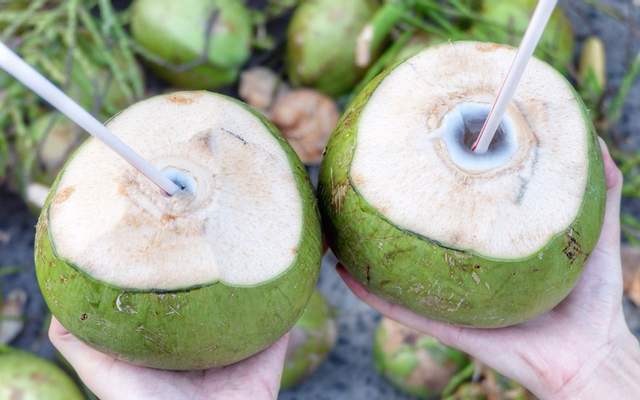 Dừa Xiêm & Rau Câu Trái Dừa