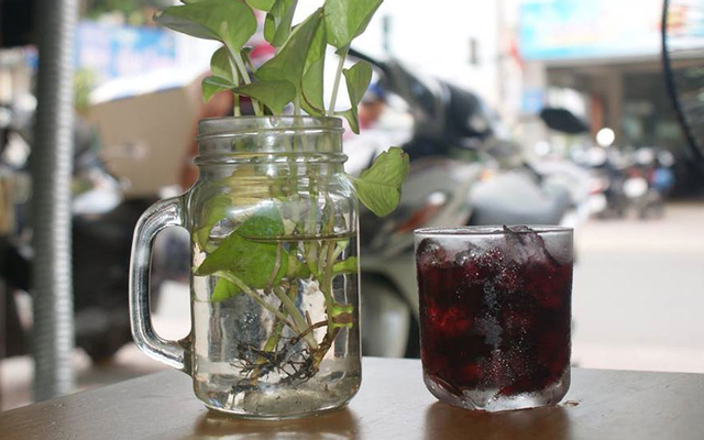 Hà Móm Coffee - Lê Quang Định