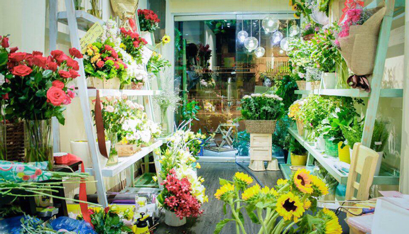 My Flower - Shop Hoa Tươi Sài Gòn