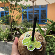 CocoSimia Coconut 100% Organic