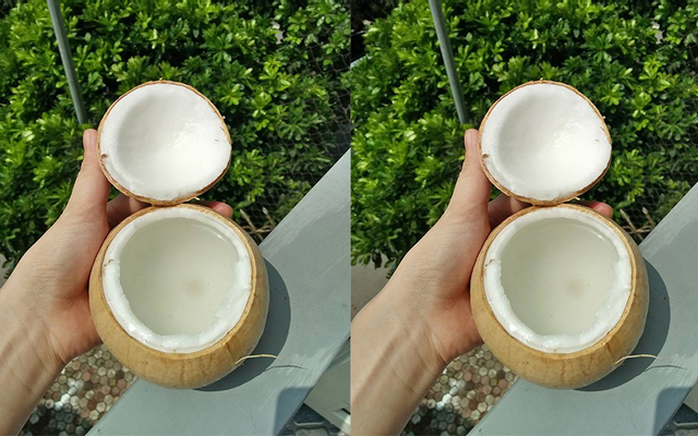 Dừa - Chè, Thạch Dừa & Flan Trái Dừa Online