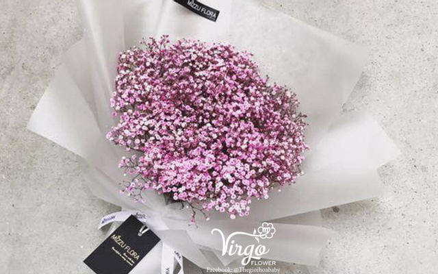 Virgo Flower - Thế Giới Hoa Baby