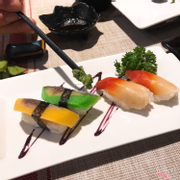 sushi cá trích + sò đỏ