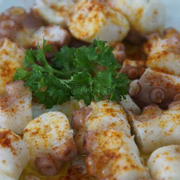Octopus galician style